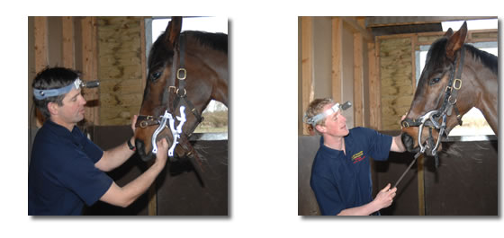 equine dentist equipment laid out in front of stable