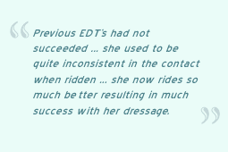 testimonial for grant chanter equine dentist