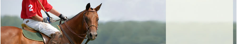 polo player with red shirt looking relaxed on his polo pony